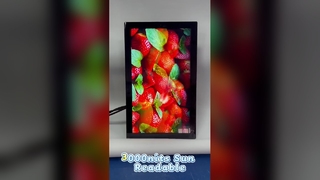 IP67 Outdoor Digital Signage Waterproof Dust-proof for Harsh Environments