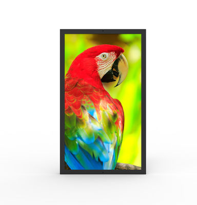 Buy Water Resistant HDMI Commercial Digital Screens 49 Inch Ultrawide Monitor online manufacture
