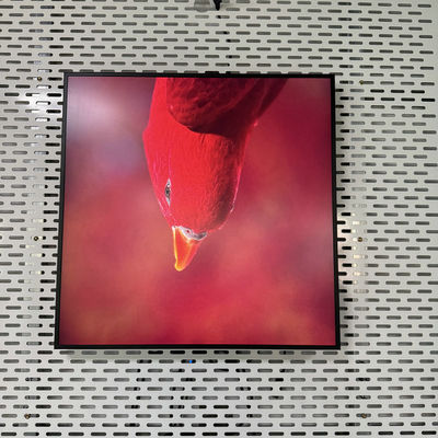 Buy Resolution 948*948 Square All In One Digital Signage with USB HDMI RJ45 Interface online manufacture