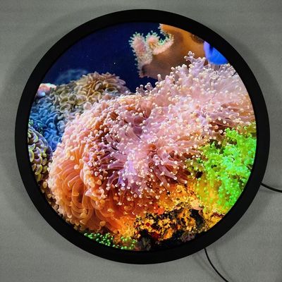 Buy Quad-core Cortex-A53 Round Art Display Free Standing Digital Signage And Optional Touch Screen online manufacture