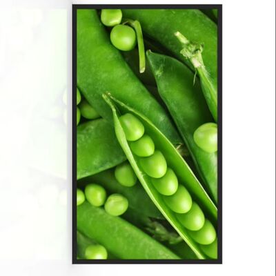 Buy 55-Inch IP67 Waterproof Outdoor Digital Signage with 3000 Nits Brightness LCD Advertising Machine online manufacture