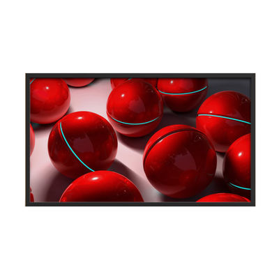 55inch Led Advertising Display