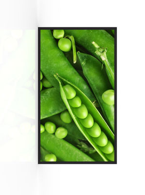 3000nits Waterproof Display Advertiser