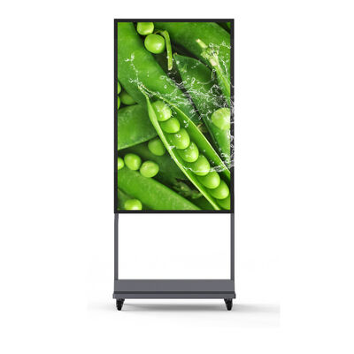 55 Inch IP67 Waterproof Outdoor Digital Signage with 5000Nits Brightness LCD Advertising Display